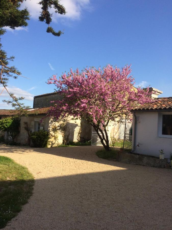 Le Logis Du Plessis Bed & Breakfast Chaniers Dış mekan fotoğraf